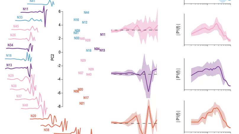 Encoding of vibrotactile stimuli by mechanoreceptors in rodent glabrous skin