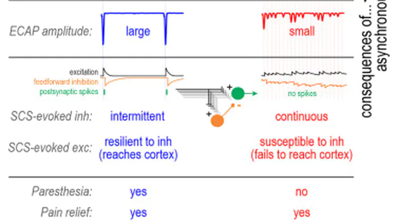 Absence of paresthesia during high-rate spinal cord stimulation reveals importance of synchrony for sensations evoked by electrical stimulation