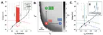 A novel computational model underlying the spiking dynamics of a subfornical organ neuron.